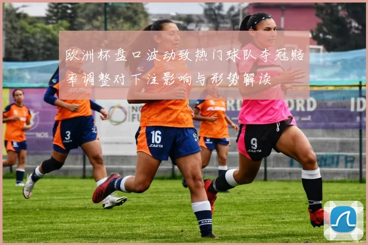 欧洲杯盘口波动致热门球队夺冠赔率调整对下注影响与形势解读