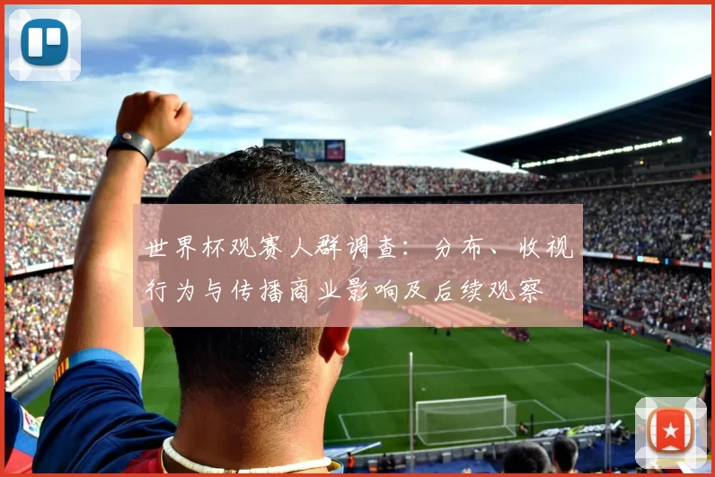 世界杯观赛人群调查：分布、收视行为与传播商业影响及后续观察