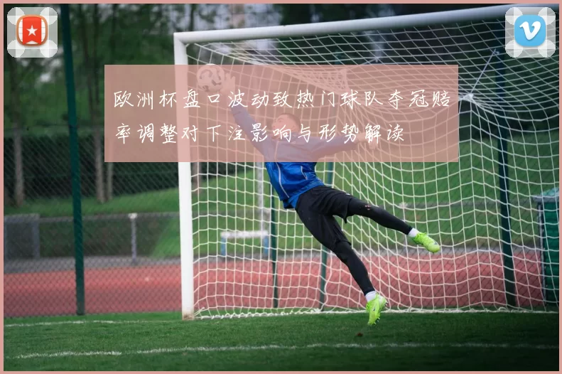欧洲杯盘口波动致热门球队夺冠赔率调整对下注影响与形势解读