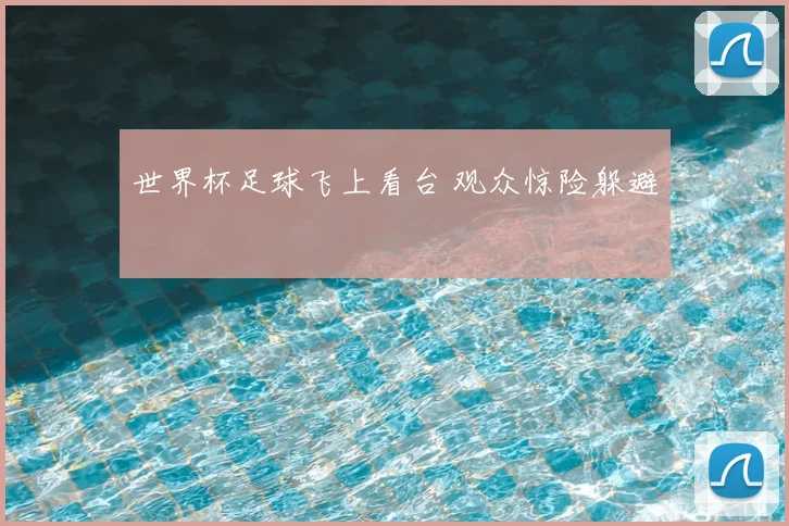 世界杯足球飞上看台 观众惊险躲避