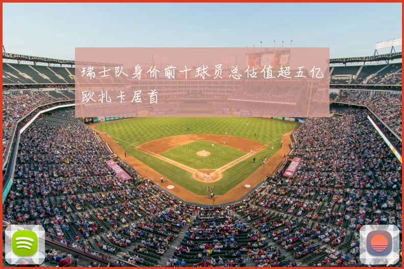 瑞士队身价前十球员总估值超五亿欧扎卡居首