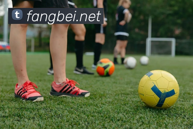 mksports什么网站APP 封面图